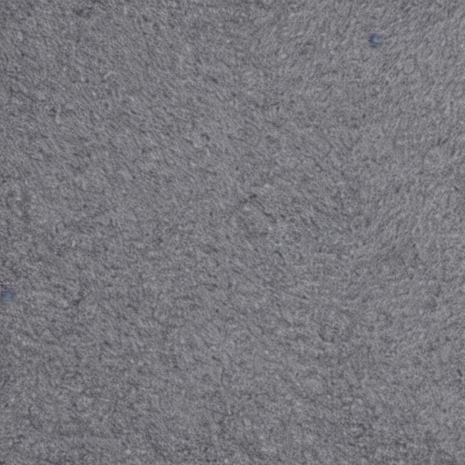 Forest Green Wool Cloak thumbnail 3